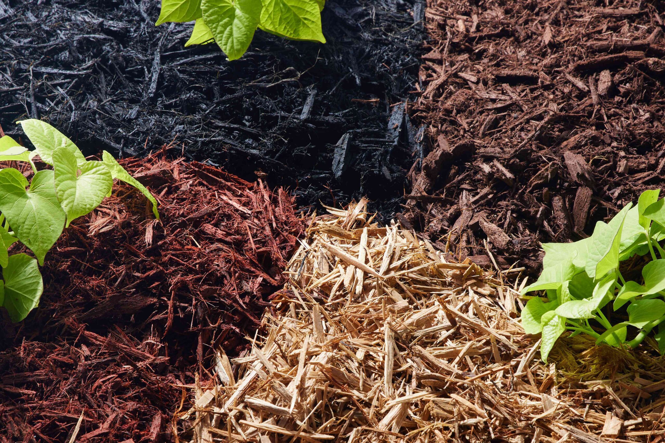 How Long Does Mulch Last?